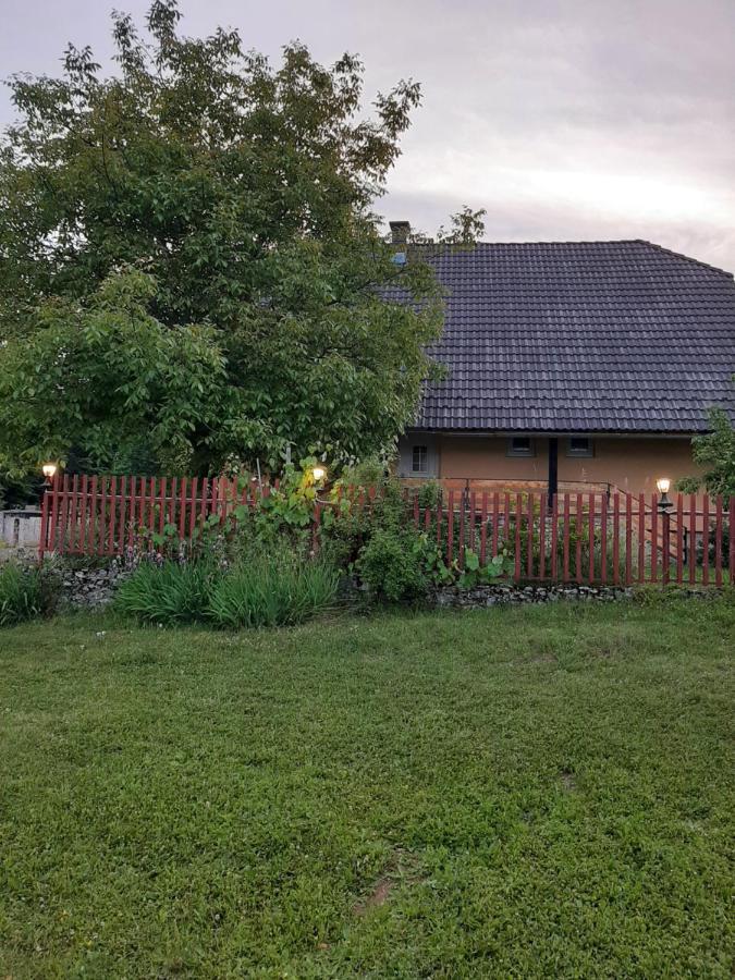 Apartmán Zoran *