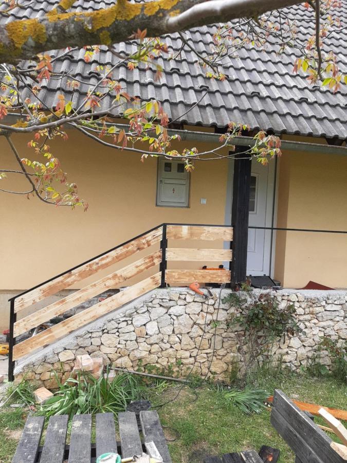 Apartment Zoran